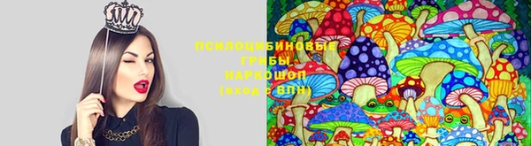 кокс Алексин