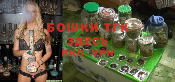 тгк Алзамай