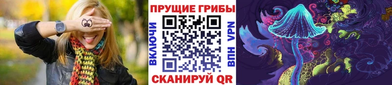 Купить  Кущёвская  Галлюциногенные грибы Psilocybine cubensis 